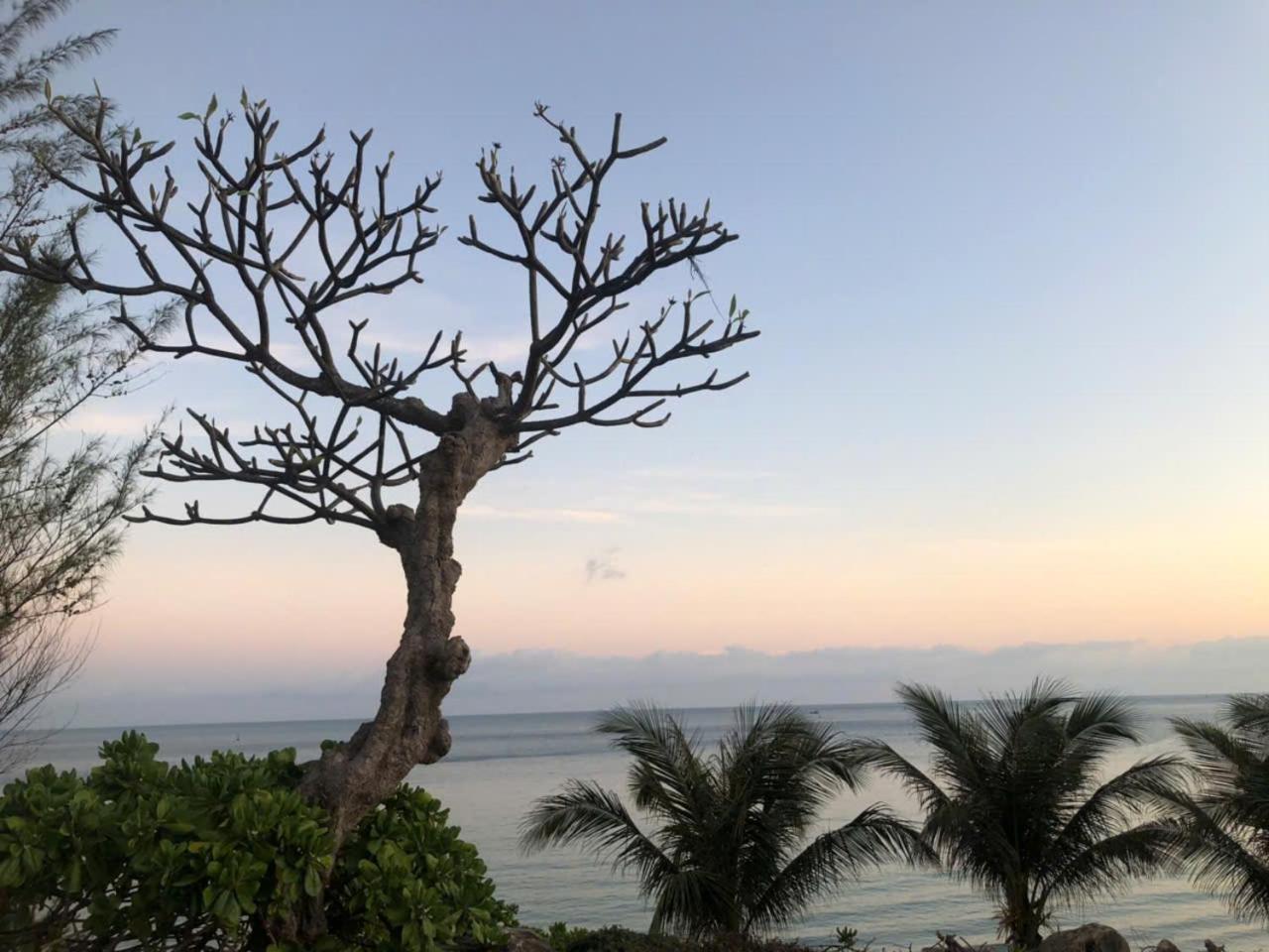 Orson Hotel&Resort Con Dao Chi Khu Co Ong Exterior foto